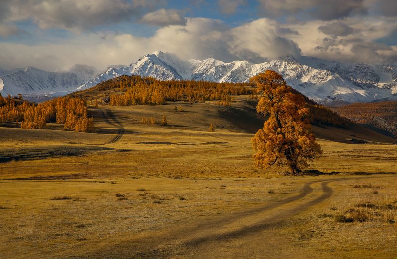 горы, пейзаж, облака, утро, осень Осенние горы фото превью