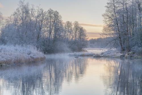 Frosty November