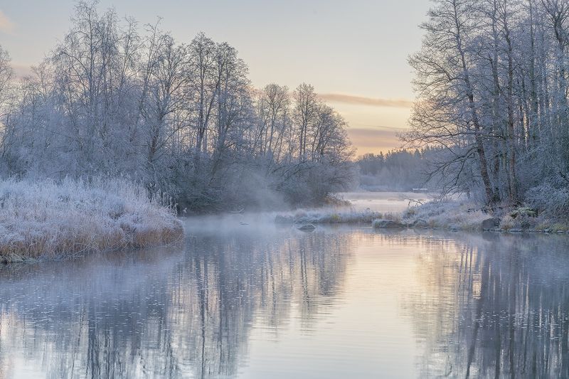 november, frost, morning, autumn Frosty November фото превью