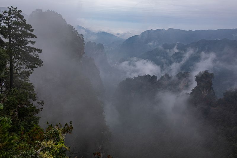 Китай. Горы. Аватар. Туман. Скалы. Пейзажи Аватара фото превью