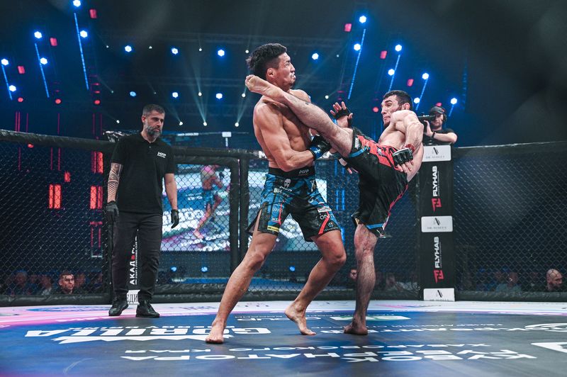 ММА, смешанные единоборства ММА фото превью