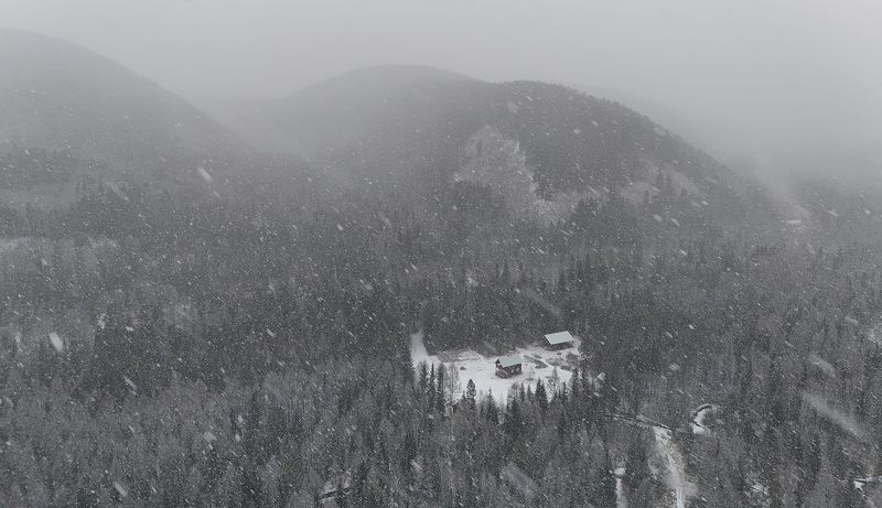 прибайкалье, тайга, заимка На дальней заимке фото превью