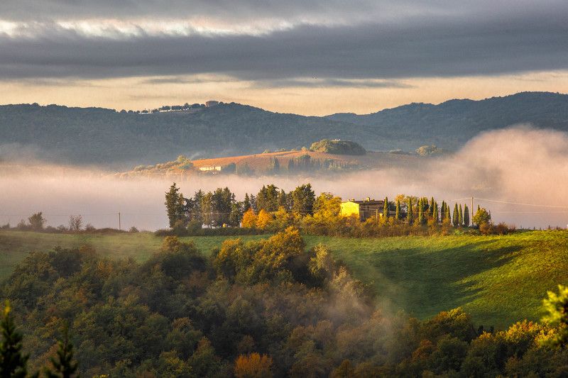 Одним ноябрьским утром фото превью
