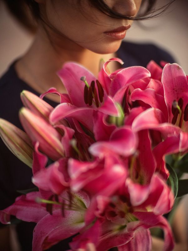 лан  фото превью