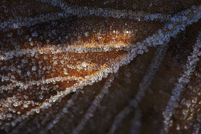 2024 фото превью