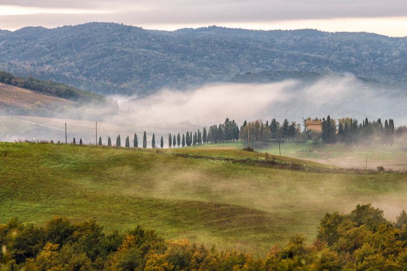 Утро туманное фото превью