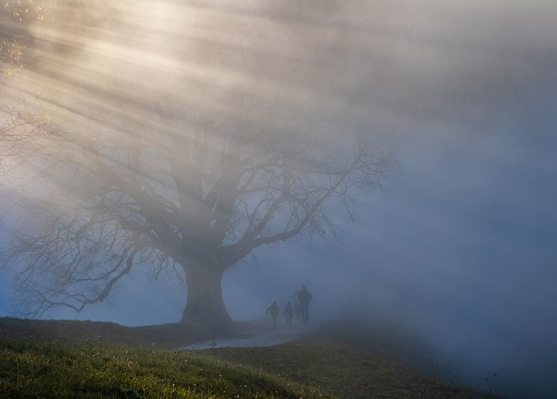 *** фото превью