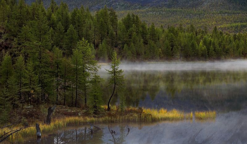 Прохладным осенним утром фото превью