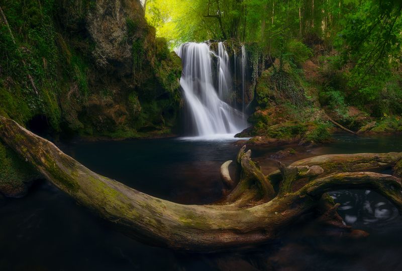 Bentwood фото превью