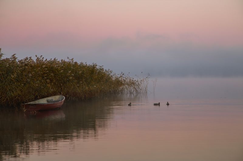 озеро, туман, лодка, пейзаж Тихое туманнре утро фото превью
