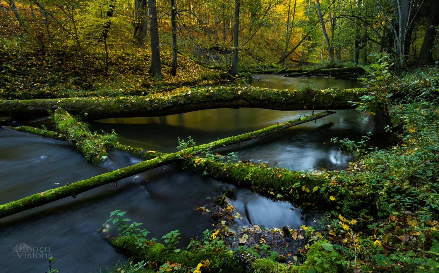 river,water,forest,woodland,nature,green,, Photo Visions