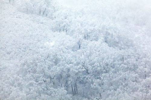 Зимний день на Камчатке