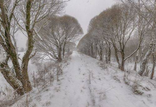 Ноябрьский снег