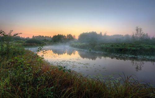 Тихая хаводь