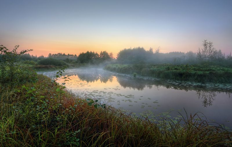 река заводь лето август Нижегородская область Линлда деревня Остреево Тихая хаводь фото превью