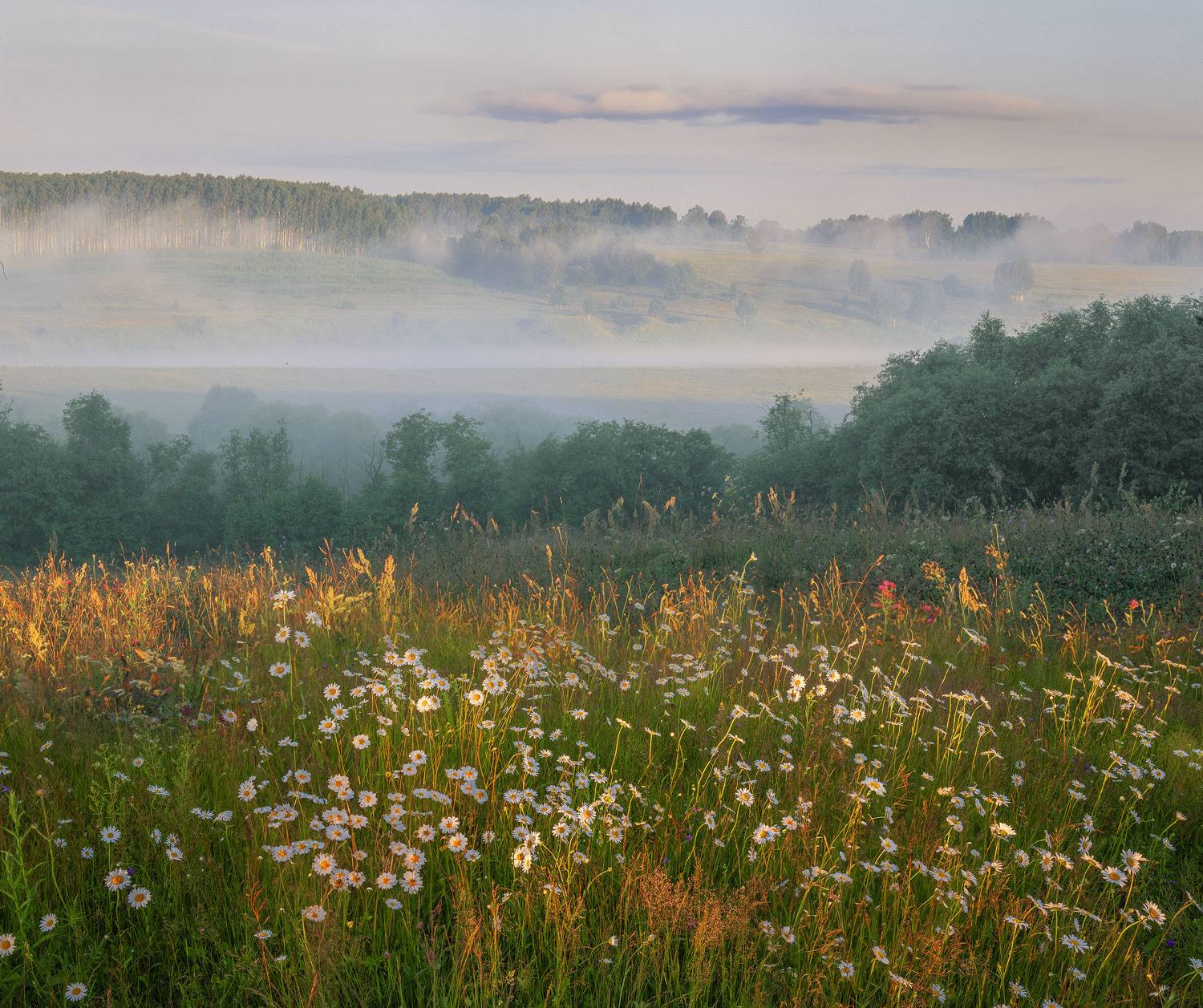 Фототуры с Владимиром Рябковым, #topnature #russpasibo #magic_shots #lovelyRussia #sunset_vision #exclusive_sky  #exclusive_shots #loves_russia2 #photoarena_nature #nature_sultans #nature_perfection #rsa_sky #rsa_sunset #photorussia #rsa_naturepics #sunse, Владимир Рябков
