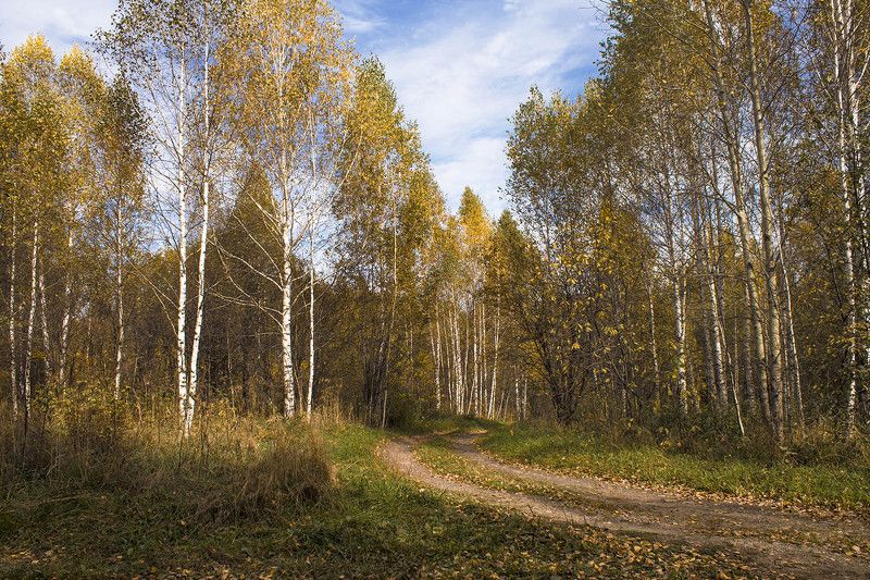 осень, сибирь, россия осенние зарисовки фото превью