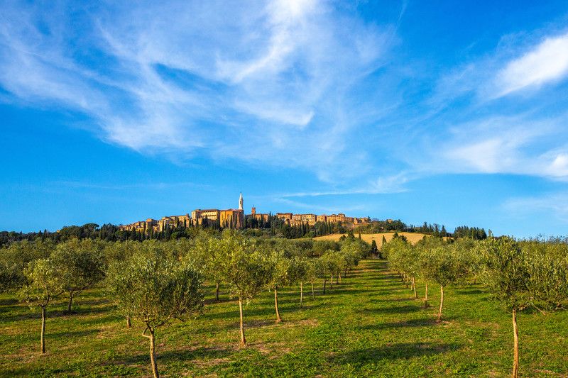 Пиенца фото превью