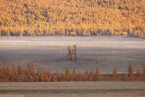 Осенние краски Алтая