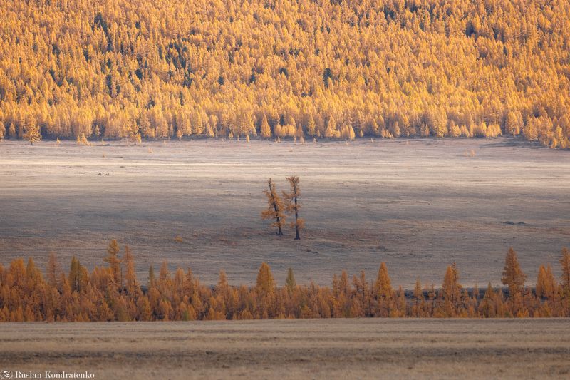 Осенние краски Алтая фото превью