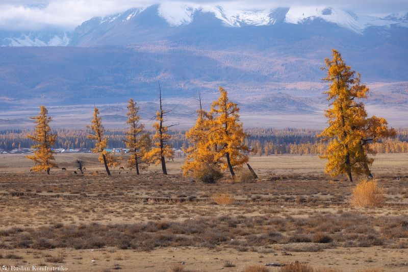 Осенние краски Алтая фото превью