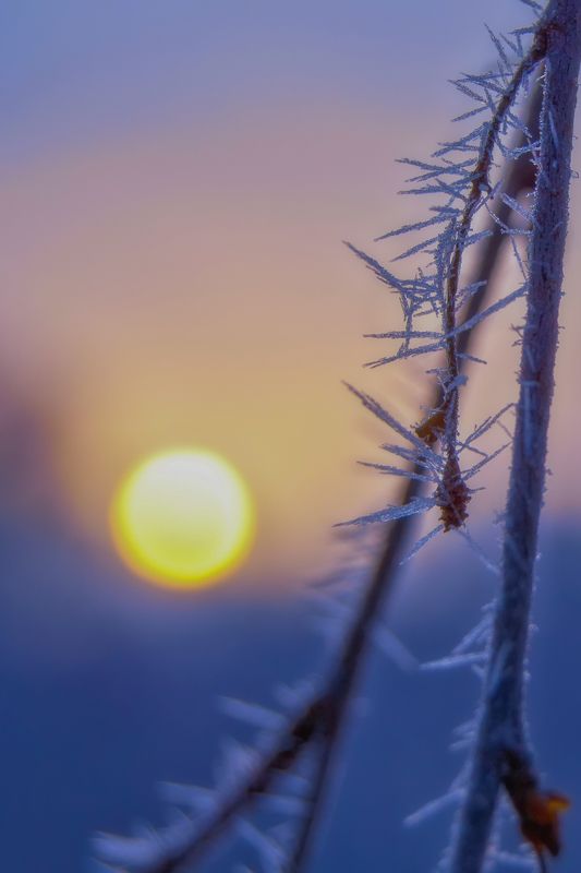 Холодное зимнее утро фото превью