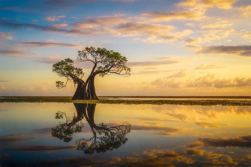 Two and the sea фото превью