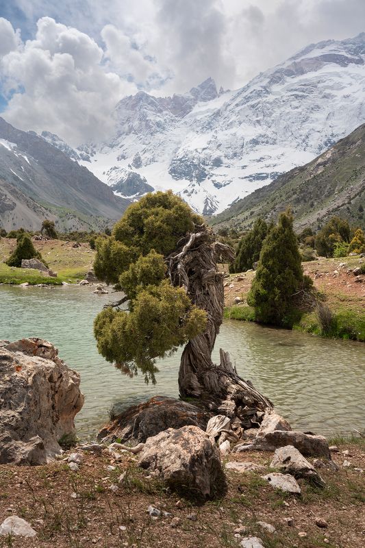 Арча фото превью