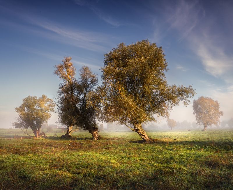 Poranek фото превью