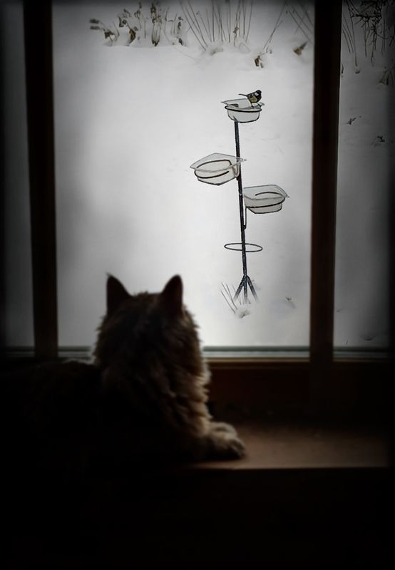 Наблюдатель фото превью