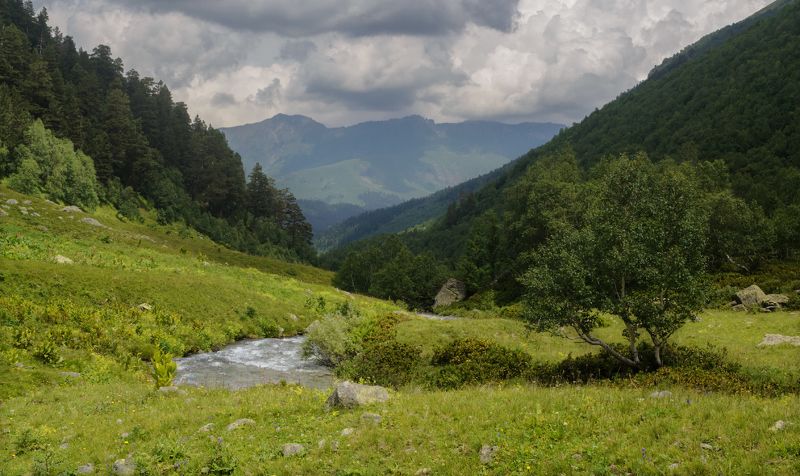 У реки. фото превью