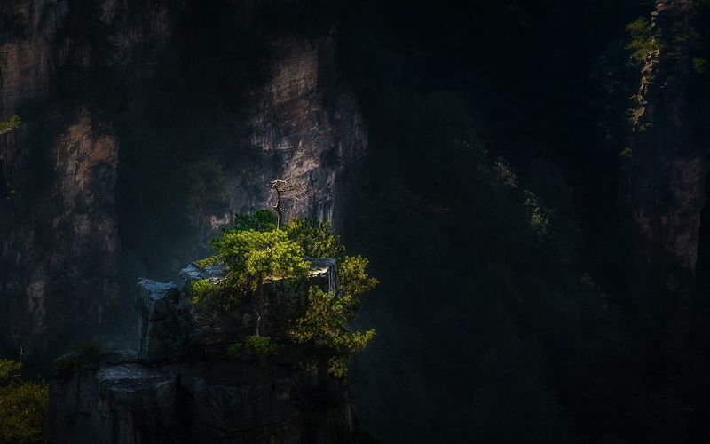 *** фото превью