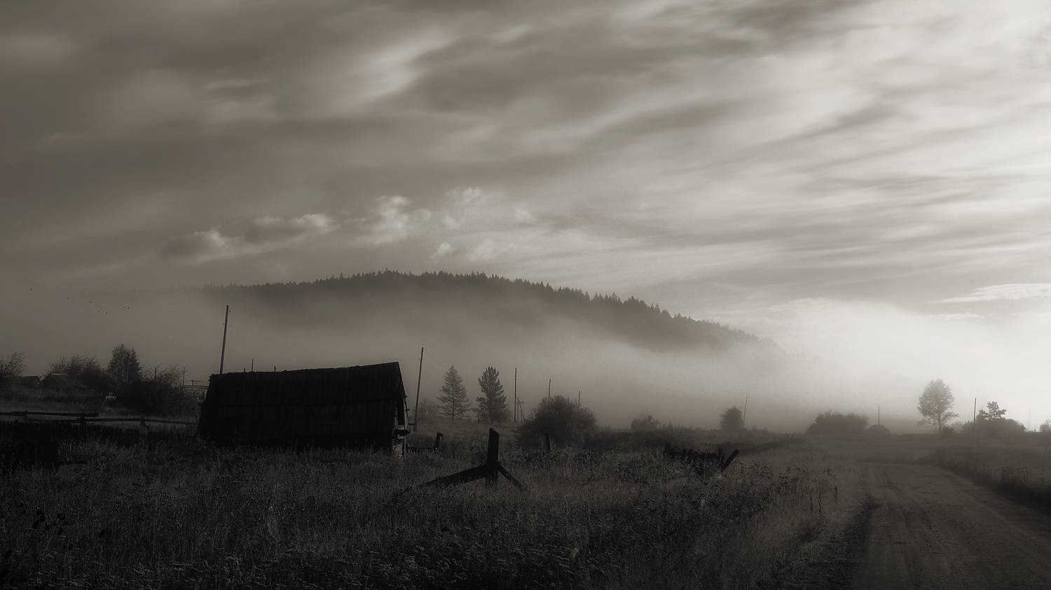 , Тришин Виктор