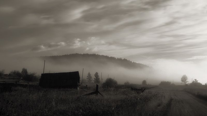 Туманное утро. фото превью