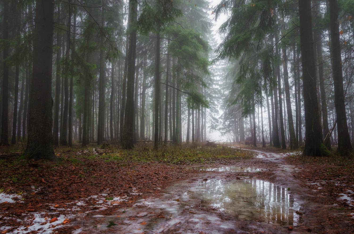 , Карабинов Дима