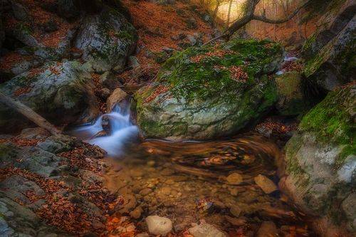 Осень пришла...