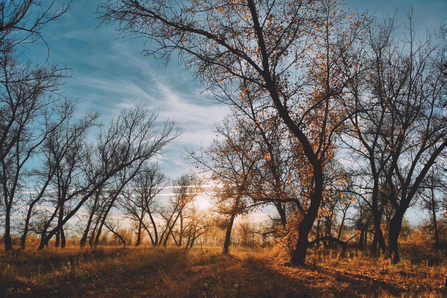 , Денис Ефимочкин