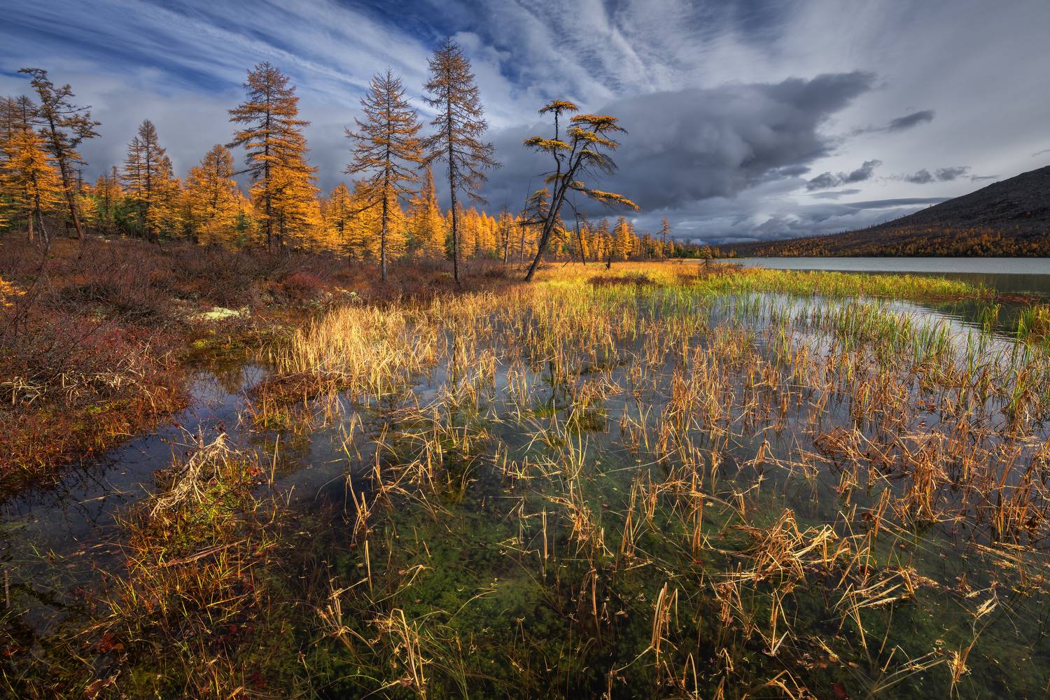 , Евдокимов Максим