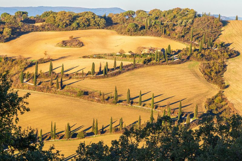 Тосканский ковер фото превью