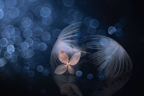 Unpretentious silence