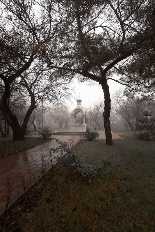 # фото превью