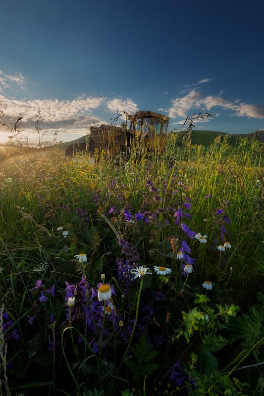 дагестан, горы, лето, поля, цветы, техника, день, закаты,  В лучах заката фото превью