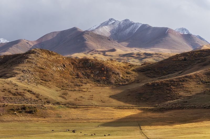 Кыргызстан фото превью
