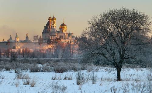 Морозное утро