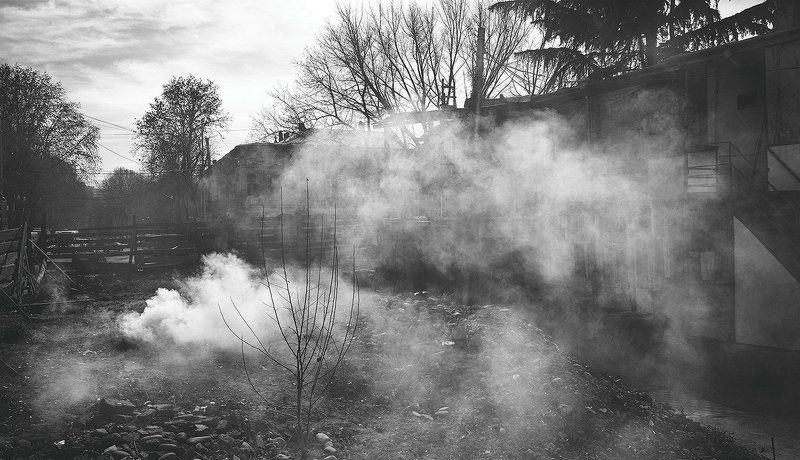 ____ фото превью