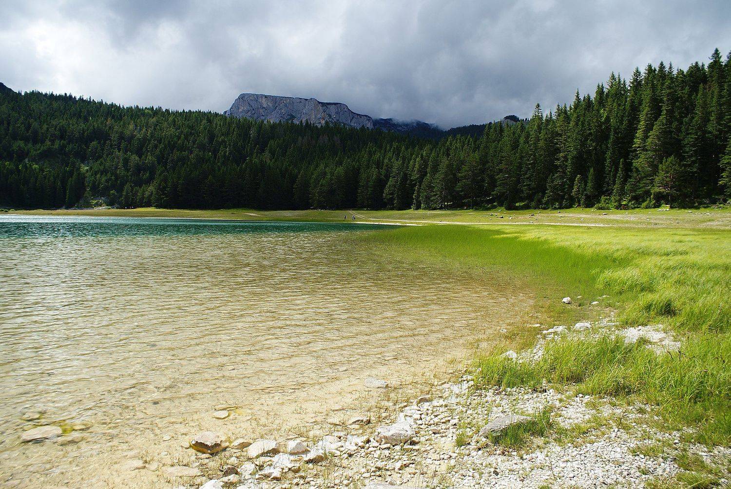 , Anastasia Kosareva