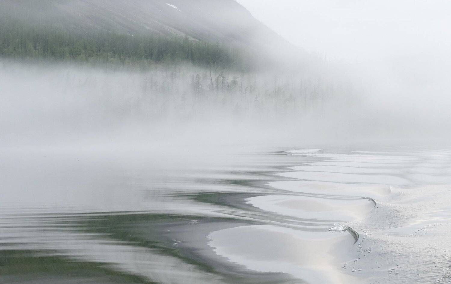 , Лещёнок Александр