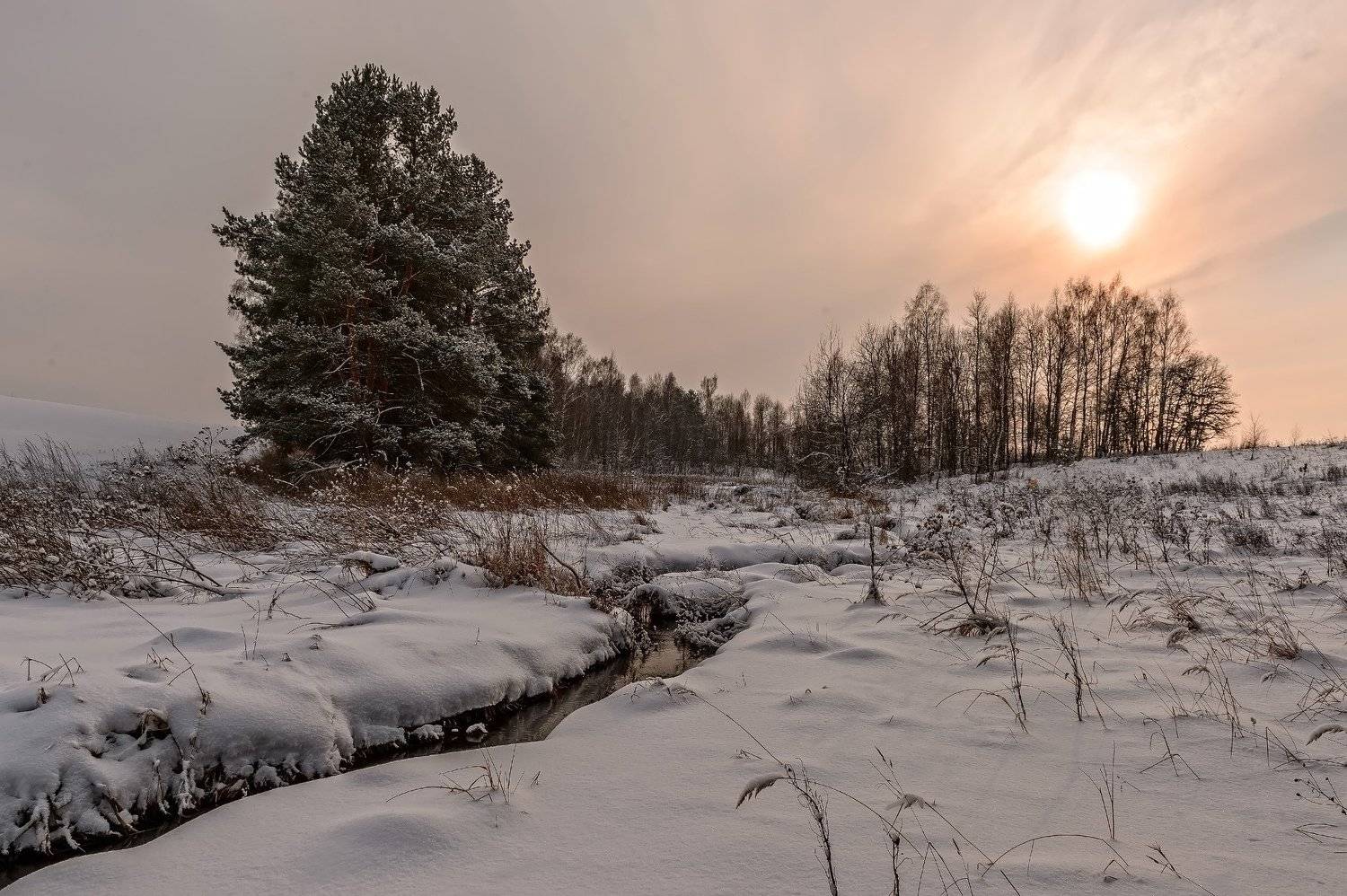 вечер, закат, зима, зимний пейзаж, красота, лес, пейзаж, природа, речка, снег, солнце,россия,январь,winter, Юлия Лаптева