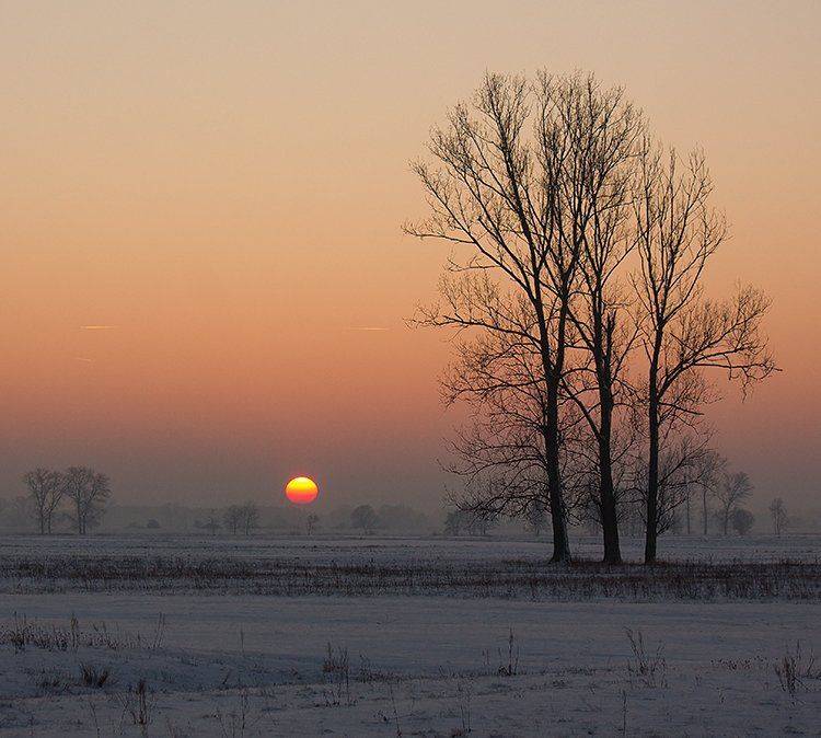 , Pawel Plucinski