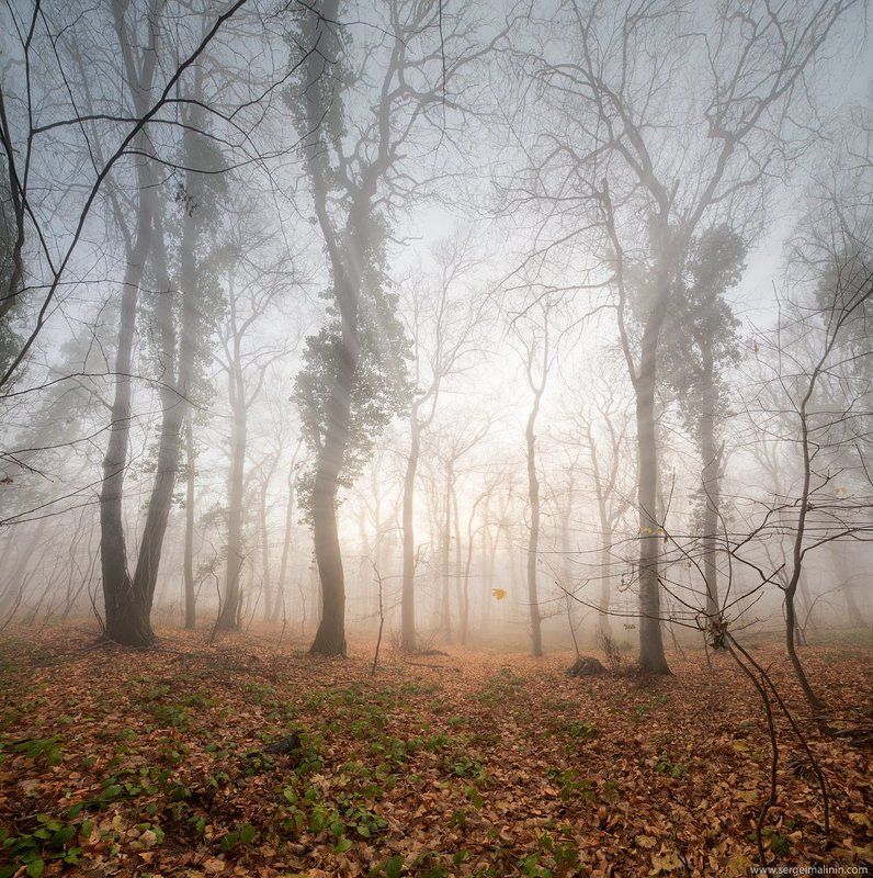 Fruska Gora фото превью